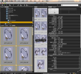 我有很多的產品圖片,圖片中有該產品的型號,怎樣用軟件把所有的圖片都改為圖片中的型號