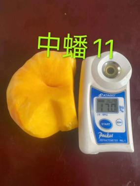 蒙陰篇 巾幗好產品，等您來團購——聚焦散裝及預包裝食品的優質銷售